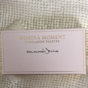 Colored Raine Eyeshadow Palette